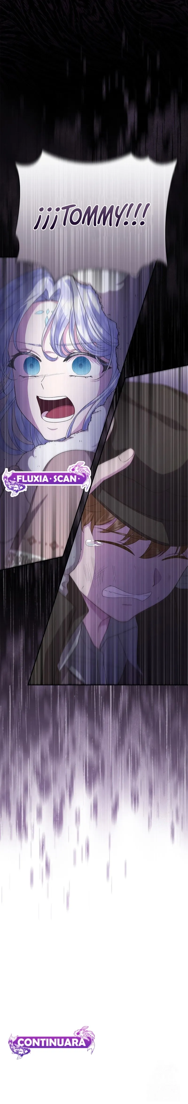 11 Las violetas que florecieron en el jardín