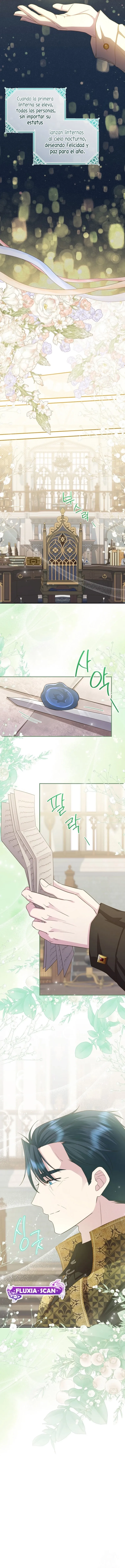 6 Las violetas que florecieron en el jardín