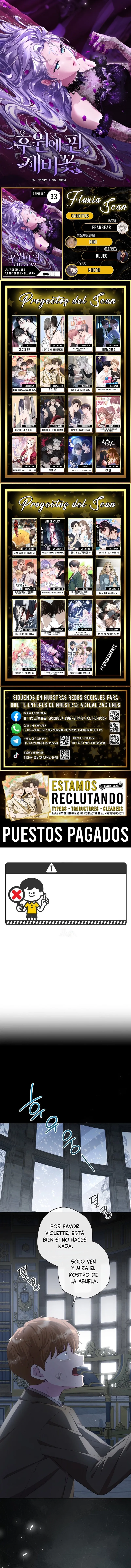 0 Las violetas que florecieron en el jardín