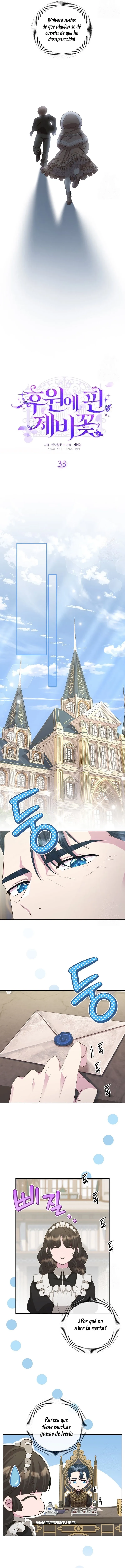 3 Las violetas que florecieron en el jardín