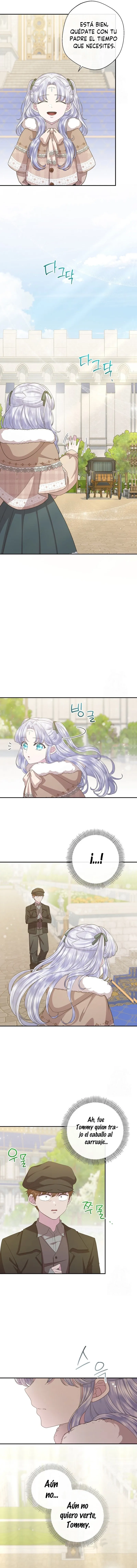 3 Las violetas que florecieron en el jardín