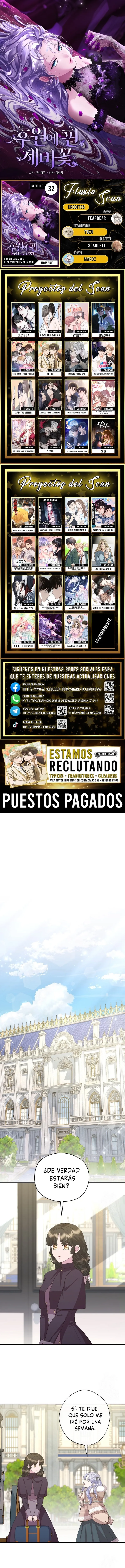 0 Las violetas que florecieron en el jardín