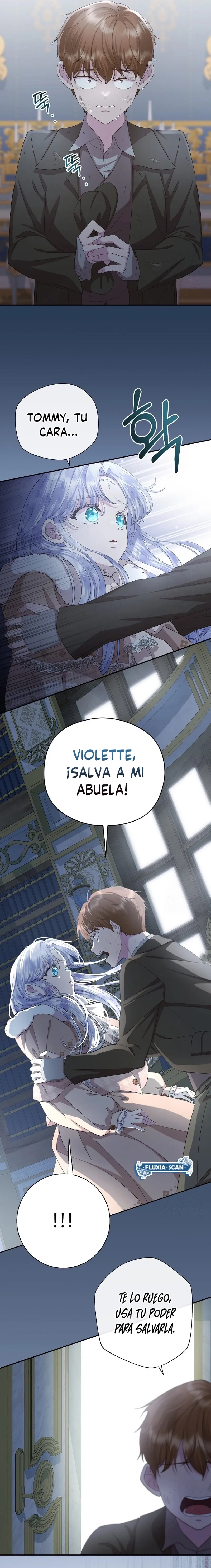 9 Las violetas que florecieron en el jardín