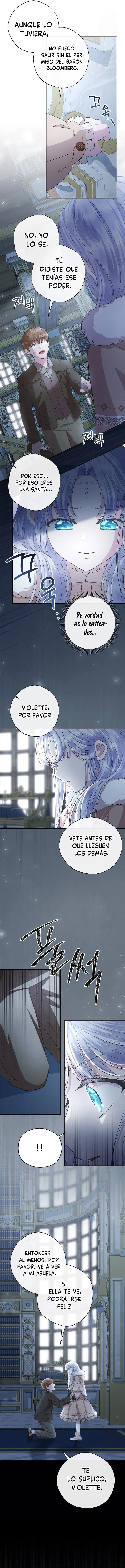 11 Las violetas que florecieron en el jardín