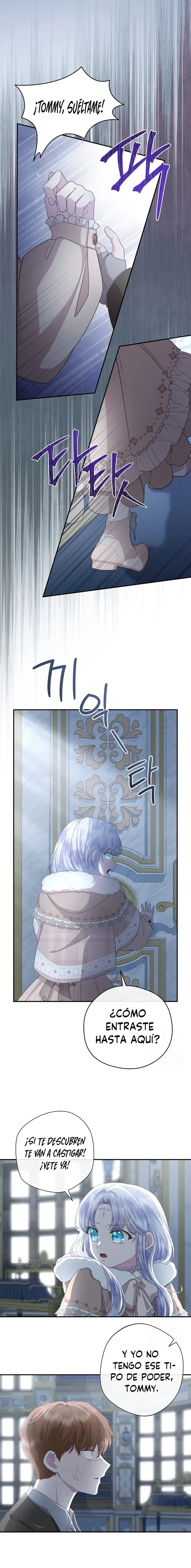 10 Las violetas que florecieron en el jardín