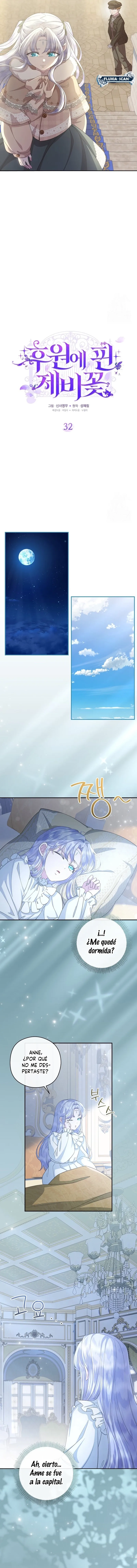 4 Las violetas que florecieron en el jardín