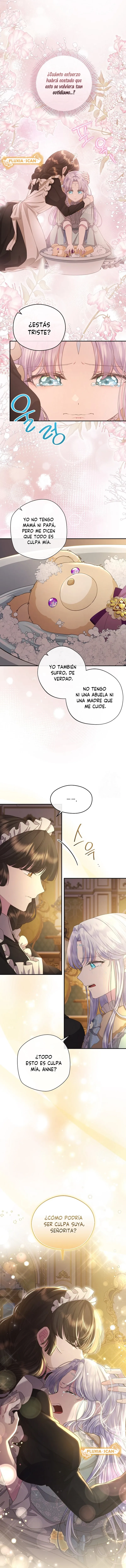 6 Las violetas que florecieron en el jardín