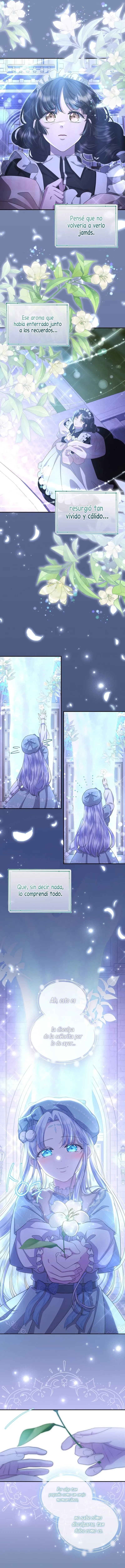 11 Las violetas que florecieron en el jardín