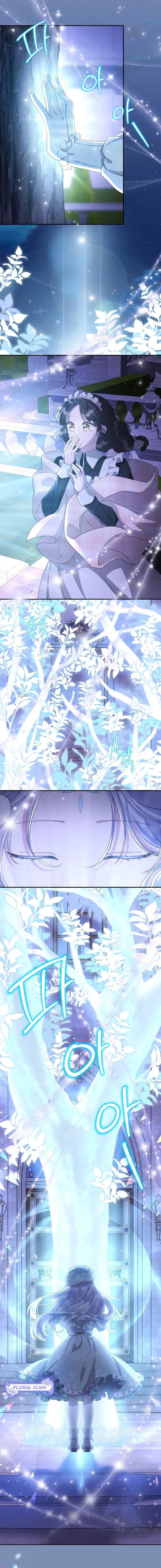 10 Las violetas que florecieron en el jardín