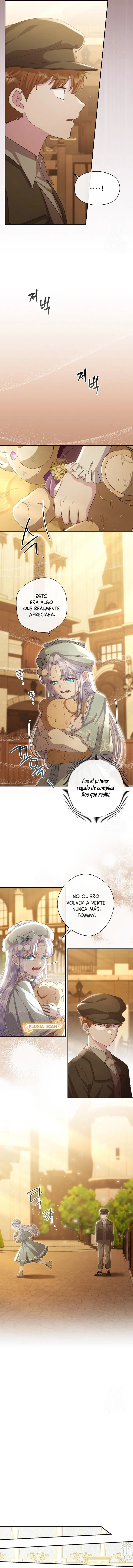 3 Las violetas que florecieron en el jardín