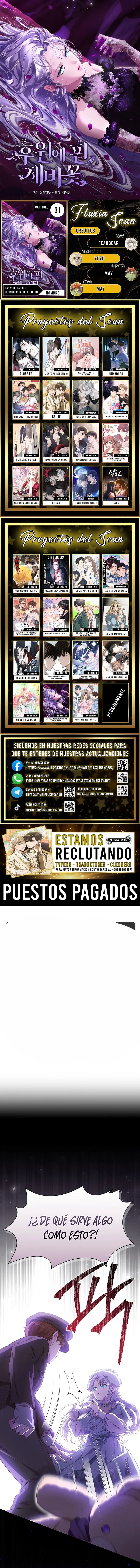 0 Las violetas que florecieron en el jardín