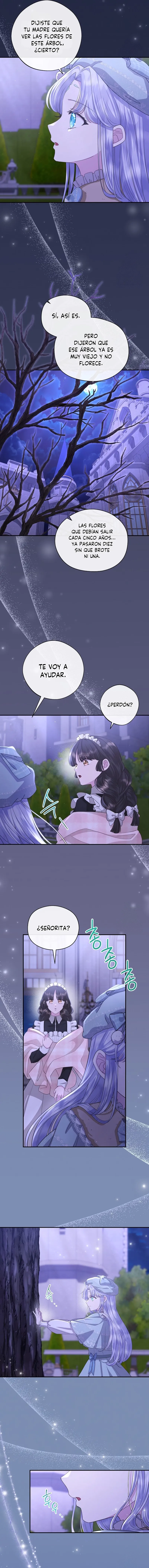 9 Las violetas que florecieron en el jardín