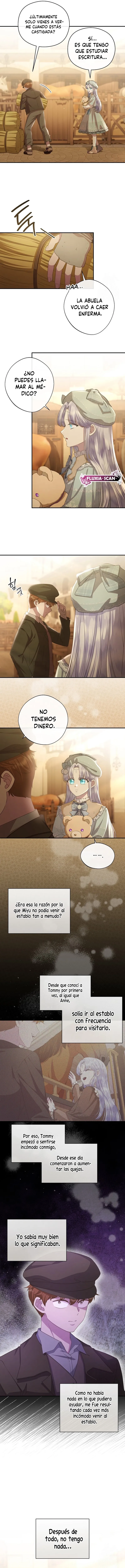 10 Las violetas que florecieron en el jardín