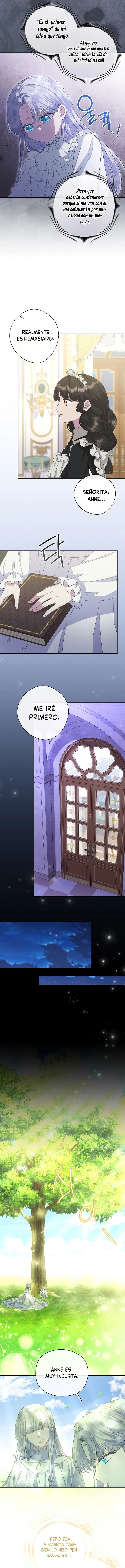 5 Las violetas que florecieron en el jardín