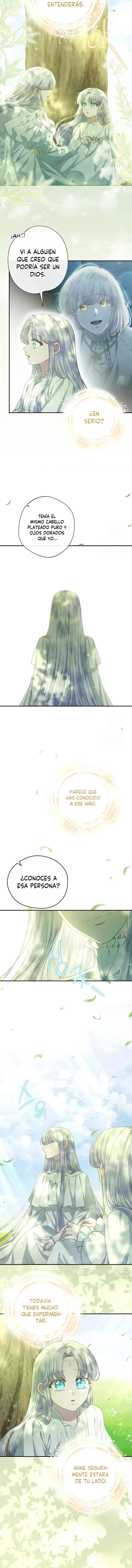 8 Las violetas que florecieron en el jardín