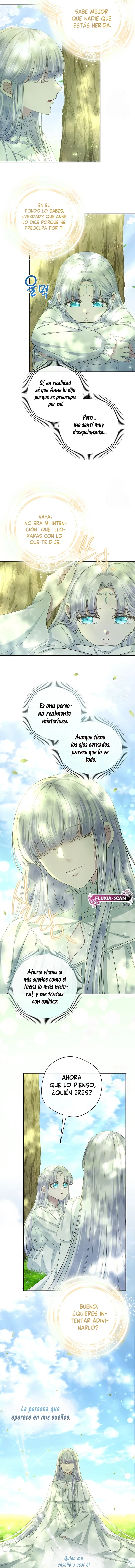 6 Las violetas que florecieron en el jardín