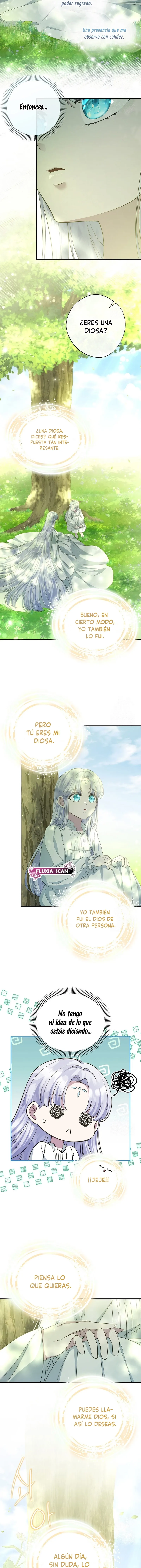 7 Las violetas que florecieron en el jardín