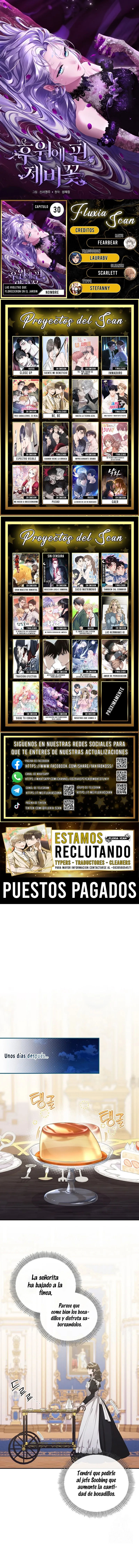 0 Las violetas que florecieron en el jardín