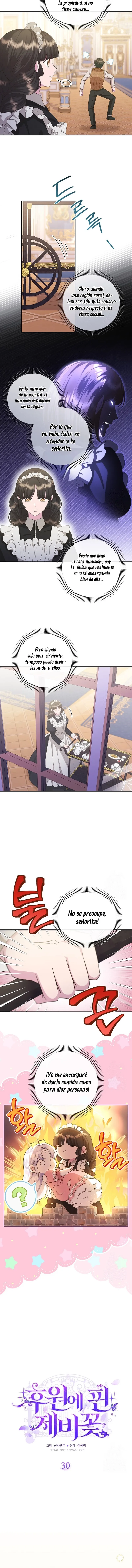 2 Las violetas que florecieron en el jardín