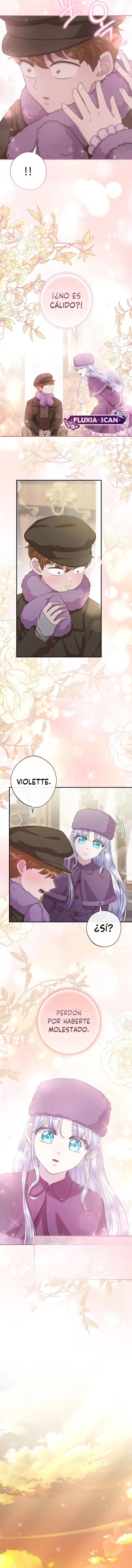 10 Las violetas que florecieron en el jardín