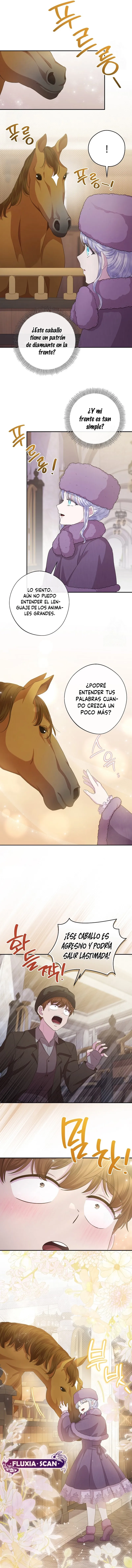 3 Las violetas que florecieron en el jardín