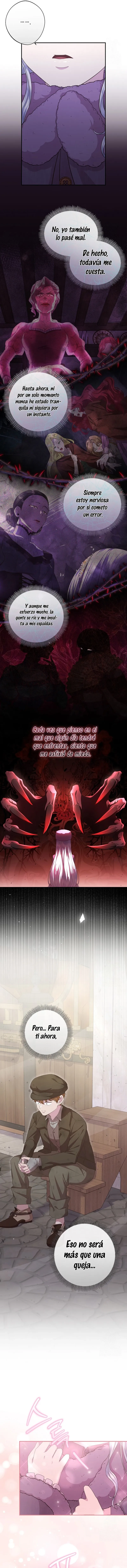 9 Las violetas que florecieron en el jardín