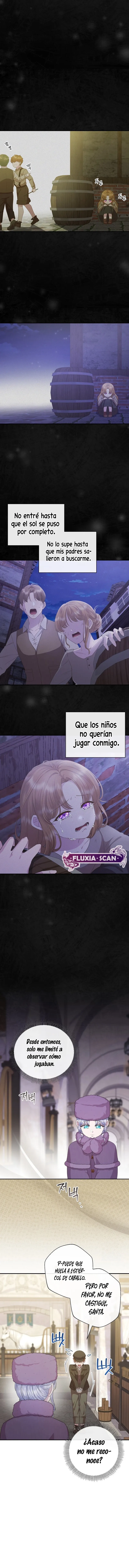 2 Las violetas que florecieron en el jardín