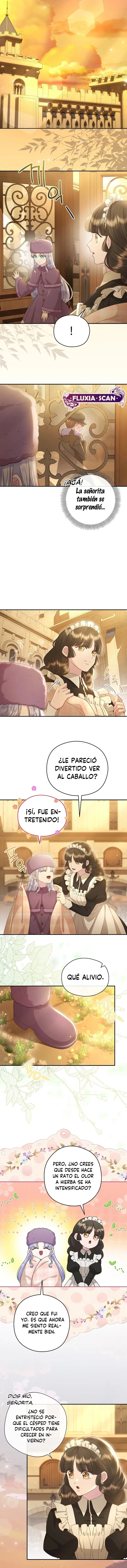 11 Las violetas que florecieron en el jardín