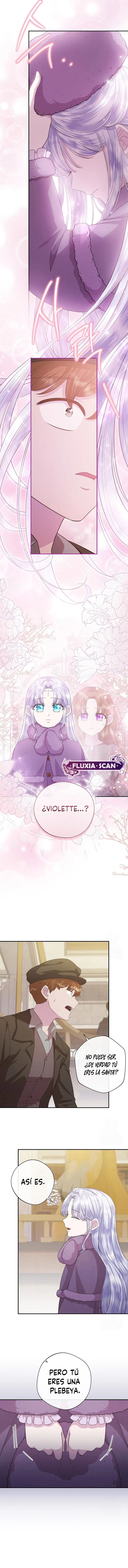 5 Las violetas que florecieron en el jardín