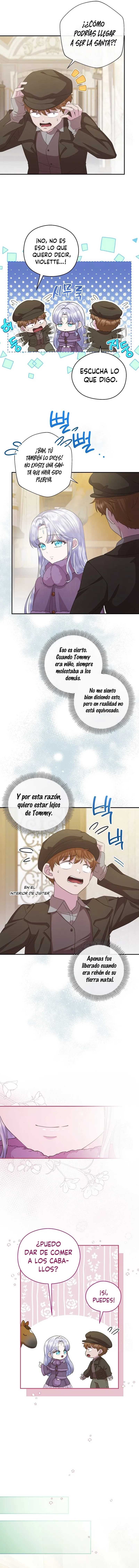 6 Las violetas que florecieron en el jardín