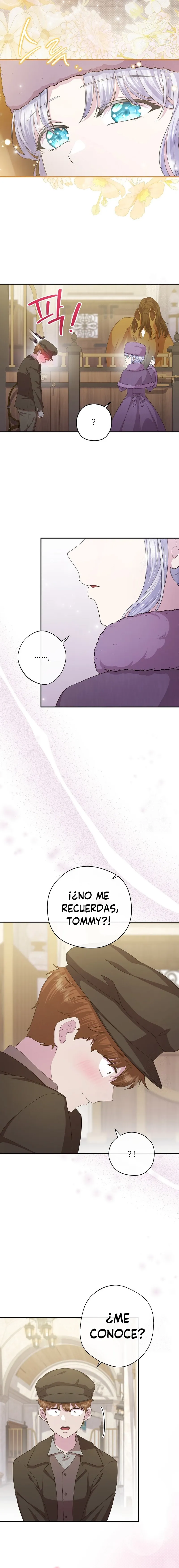 4 Las violetas que florecieron en el jardín