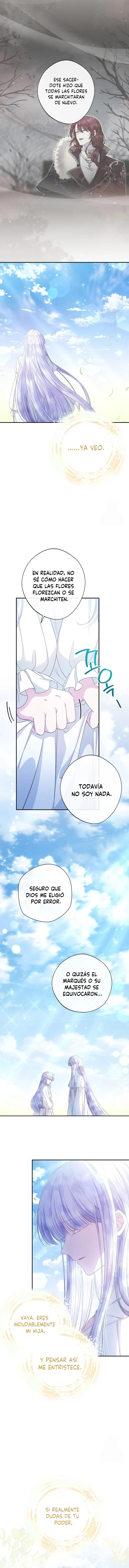 2 Las violetas que florecieron en el jardín