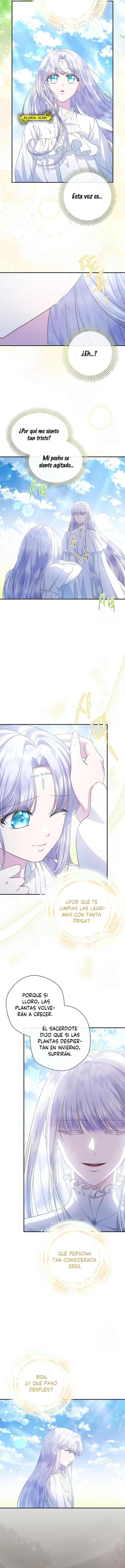 1 Las violetas que florecieron en el jardín