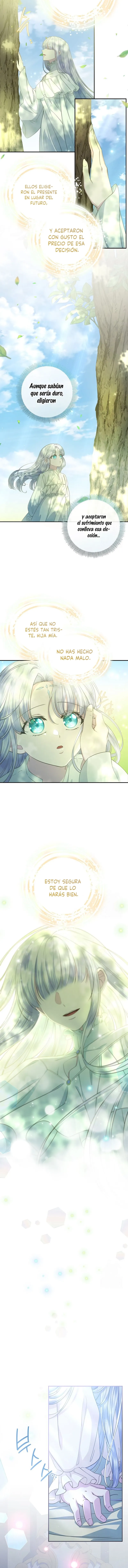 6 Las violetas que florecieron en el jardín