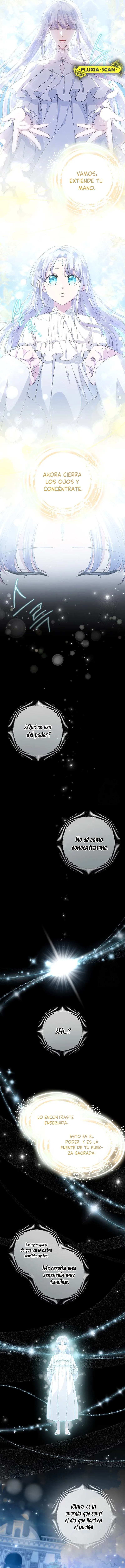 3 Las violetas que florecieron en el jardín