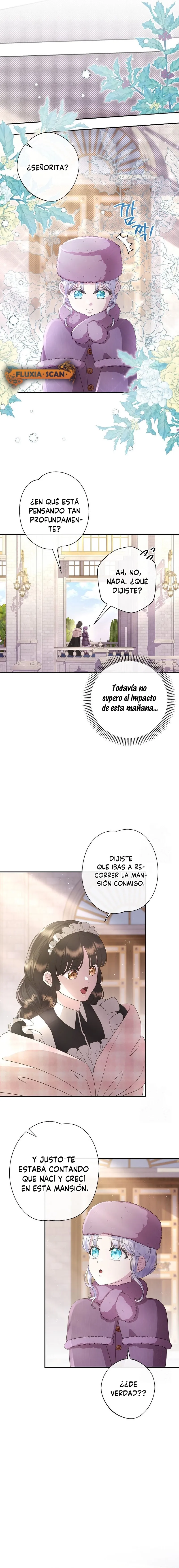 8 Las violetas que florecieron en el jardín