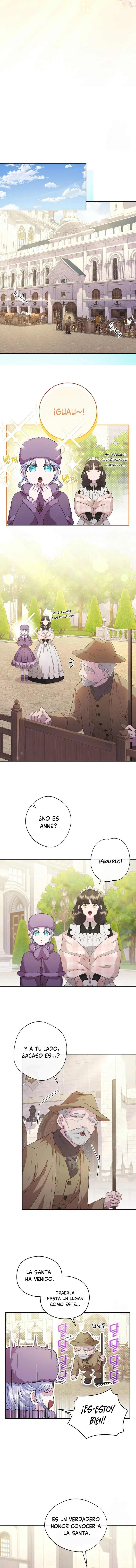 11 Las violetas que florecieron en el jardín