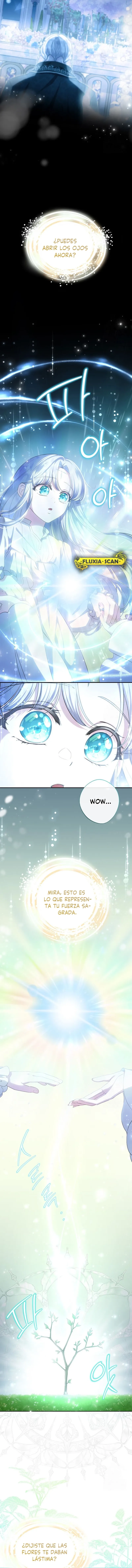 4 Las violetas que florecieron en el jardín