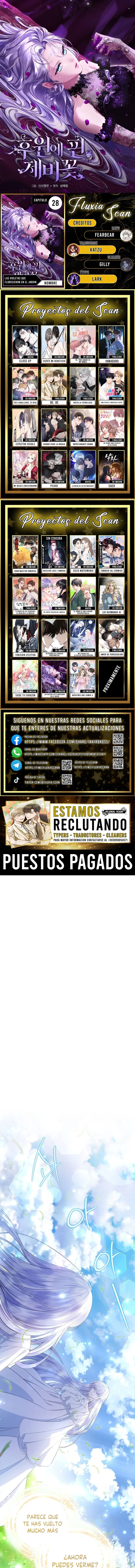 0 Las violetas que florecieron en el jardín