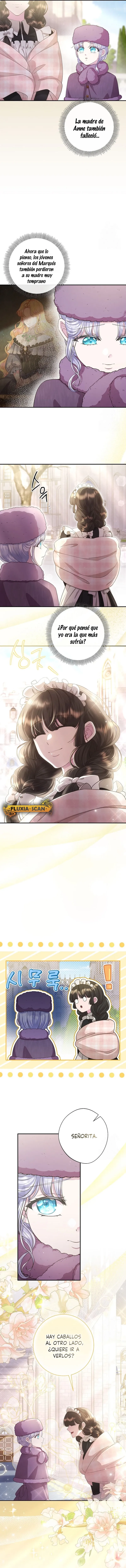 10 Las violetas que florecieron en el jardín