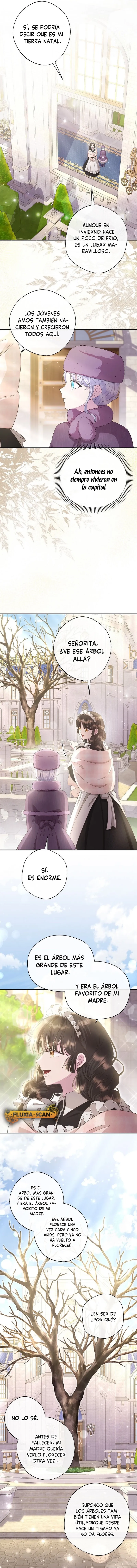 9 Las violetas que florecieron en el jardín