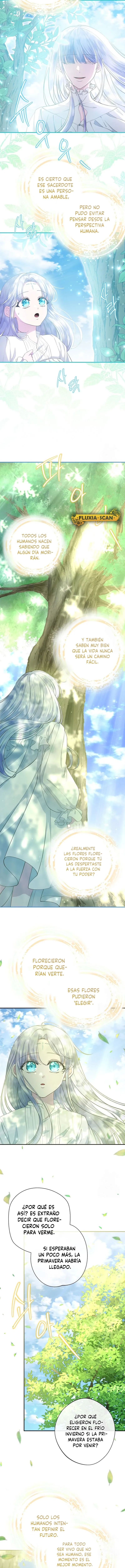 5 Las violetas que florecieron en el jardín