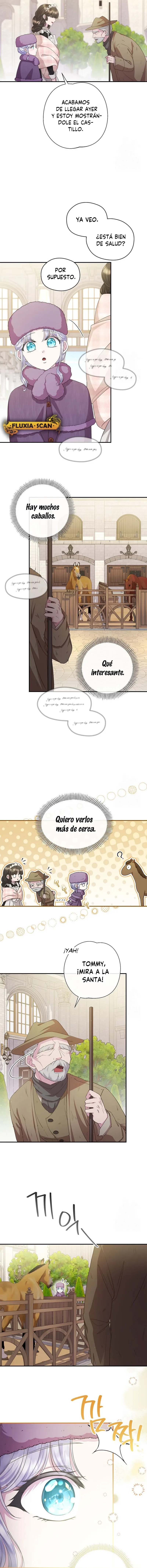 12 Las violetas que florecieron en el jardín