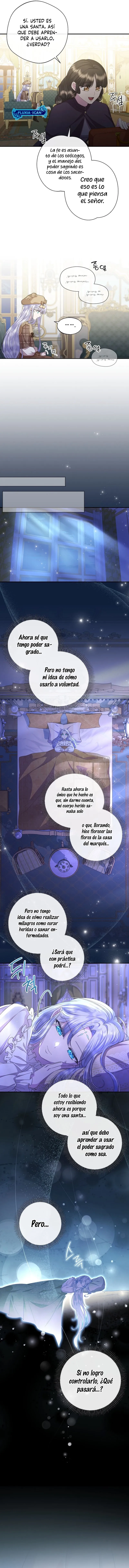 10 Las violetas que florecieron en el jardín