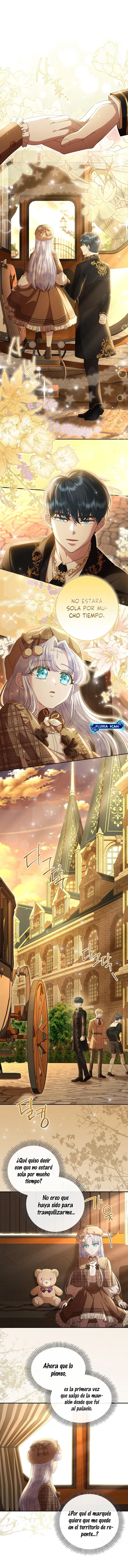 6 Las violetas que florecieron en el jardín