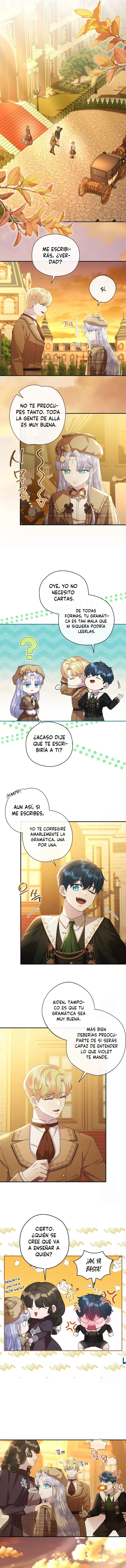 4 Las violetas que florecieron en el jardín