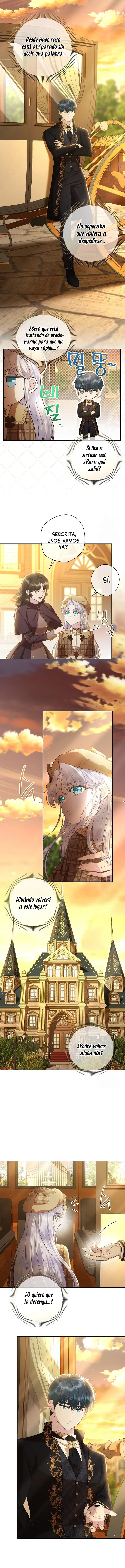 5 Las violetas que florecieron en el jardín