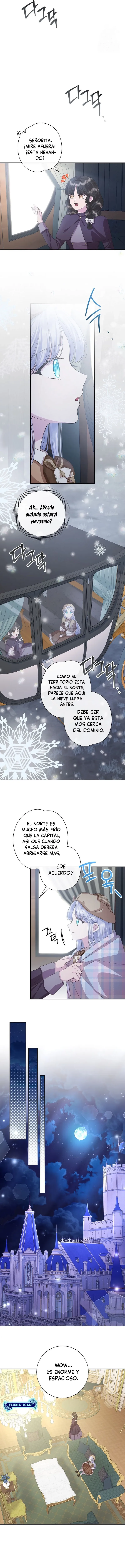 8 Las violetas que florecieron en el jardín