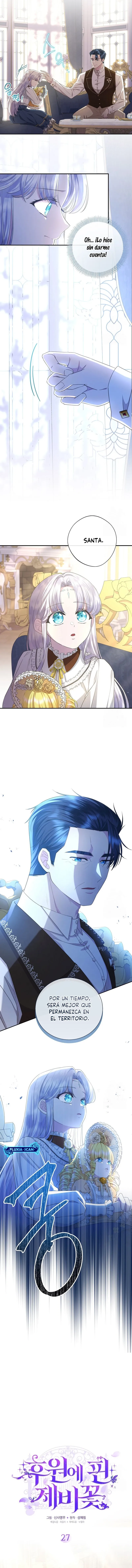 3 Las violetas que florecieron en el jardín