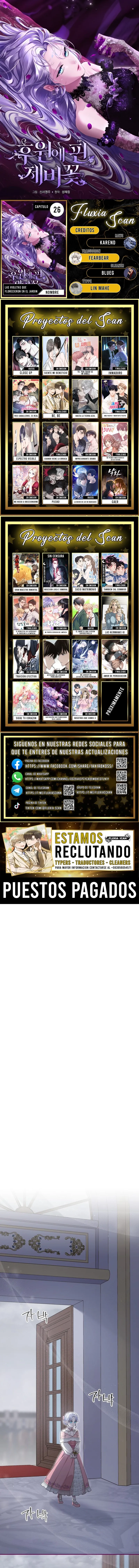 0 Las violetas que florecieron en el jardín